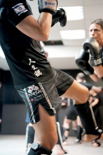 אימוני mma ברמת השרון