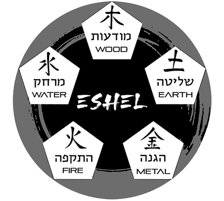 חמשת העקרונות